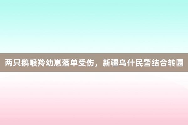 两只鹅喉羚幼崽落单受伤，新疆乌什民警结合转圜