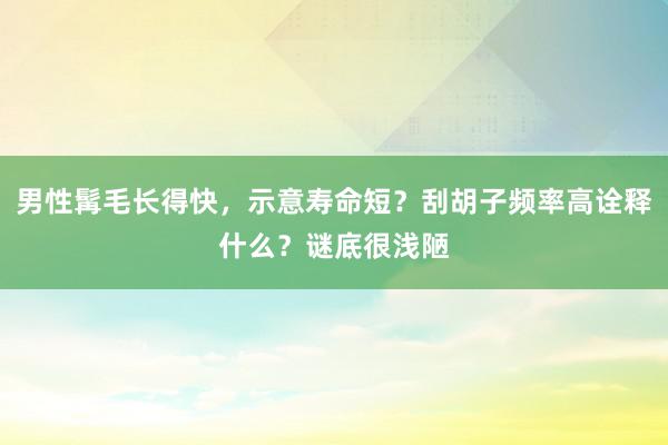 男性髯毛长得快，示意寿命短？刮胡子频率高诠释什么？谜底很浅陋