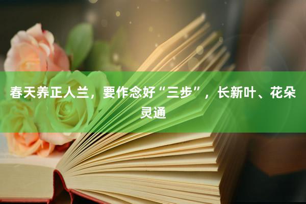 春天养正人兰，要作念好“三步”，长新叶、花朵灵通