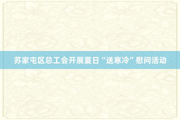 苏家屯区总工会开展夏日“送寒冷”慰问活动