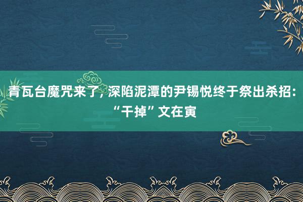 青瓦台魔咒来了, 深陷泥潭的尹锡悦终于祭出杀招: “干掉”文在寅