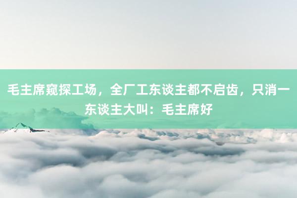 毛主席窥探工场，全厂工东谈主都不启齿，只消一东谈主大叫：毛主席好