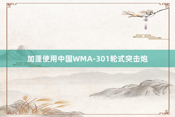 加蓬使用中国WMA-301轮式突击炮