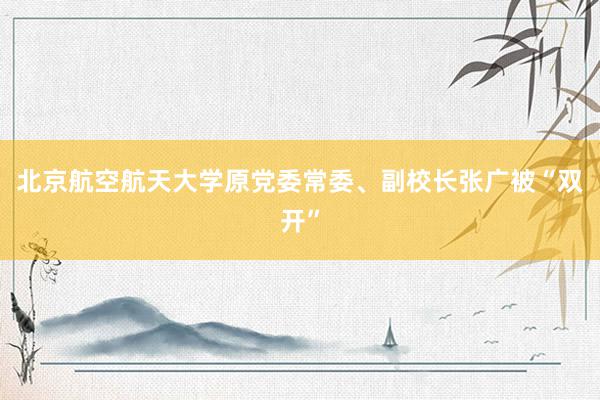 北京航空航天大学原党委常委、副校长张广被“双开”