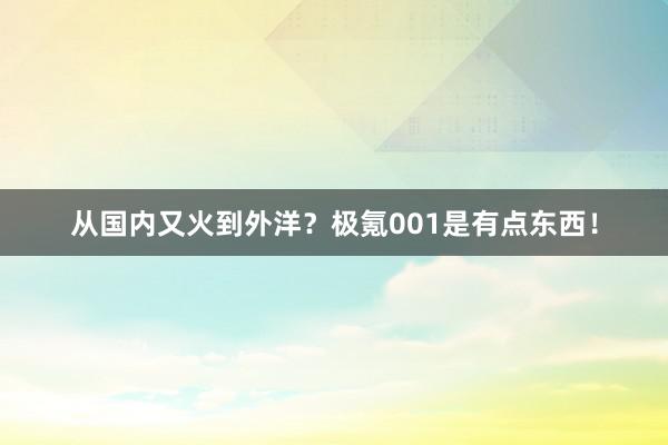 从国内又火到外洋？极氪001是有点东西！